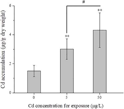 Proteomic and metabolomic analysis on cadmium-induced mitochondrial toxicity in liver tissues of juvenile olive flounder Paralichthys olivaceus